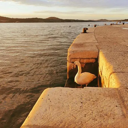 Center - Sleeps 4 * Šibenik