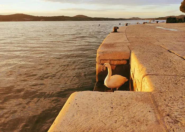 Center - Sleeps 4 * Šibenik